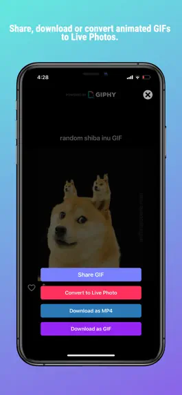 Game screenshot GifSkip: Search & Share Gif hack