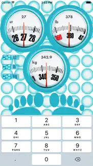 body weight unit converter problems & solutions and troubleshooting guide - 2