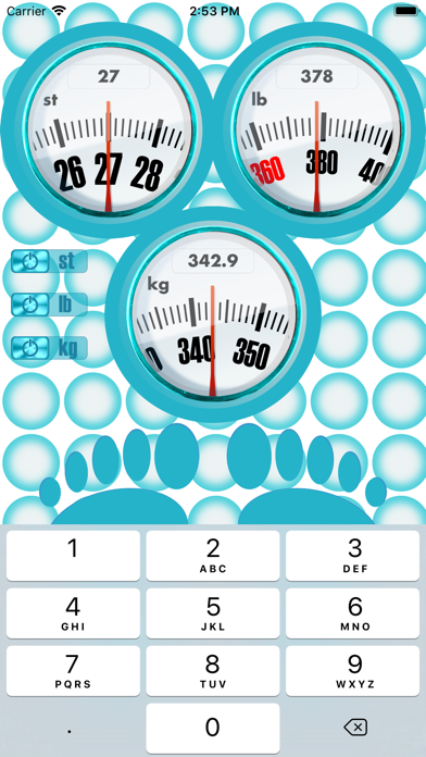 Body Weight Unit Converter Screenshot
