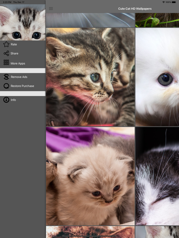 Screenshot #6 pour Fond d'écran Cute Cat HD