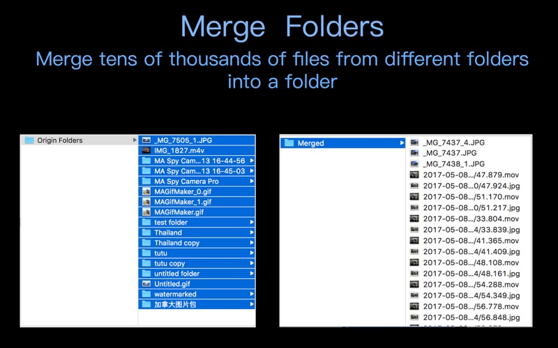 Screenshot #1 pour Merge Folders