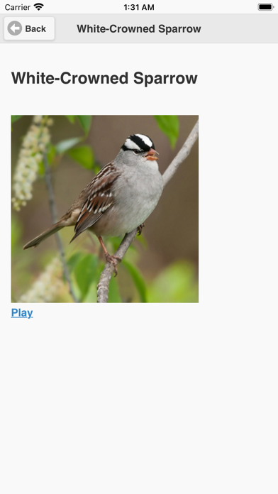 Kootenay BIrd Sounds Screenshot