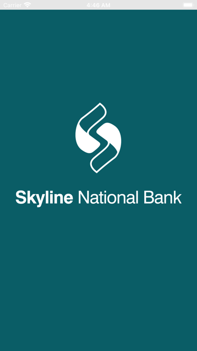 Skyline Business Mobile Screenshot