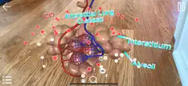 Game screenshot HER2-Targeted Therapy apk