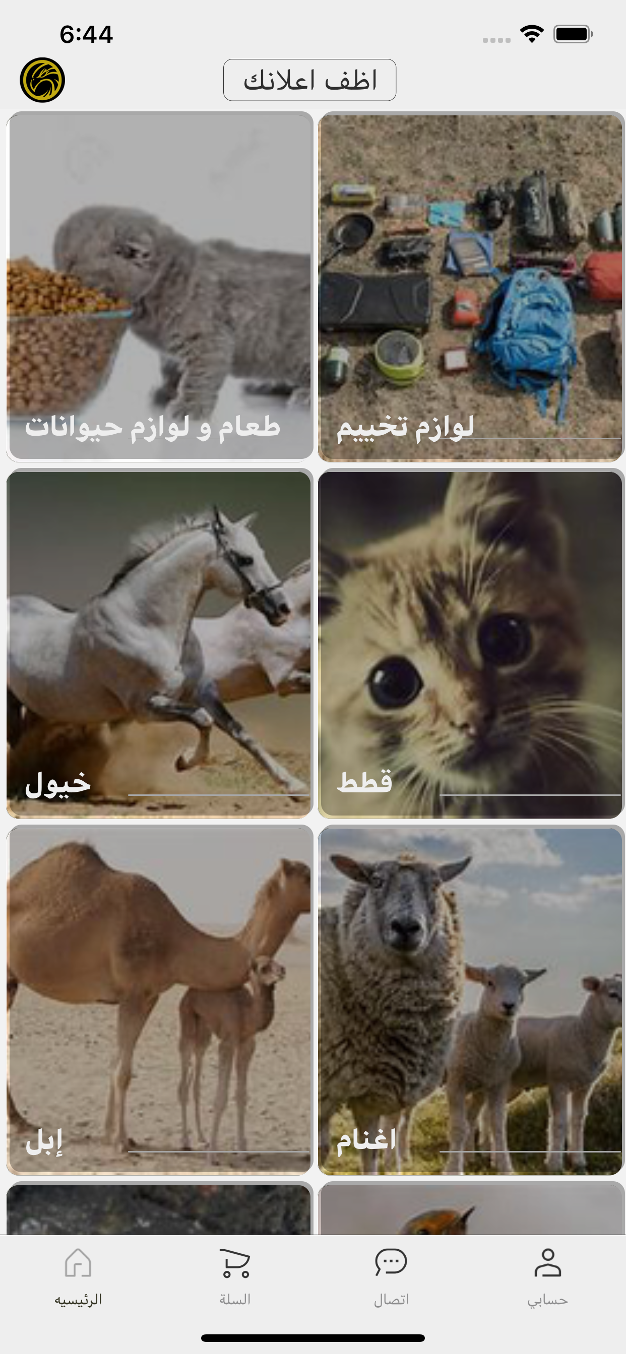 حلال قطر