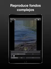 borrar objetos retoca fotos ipad capturas de pantalla 4
