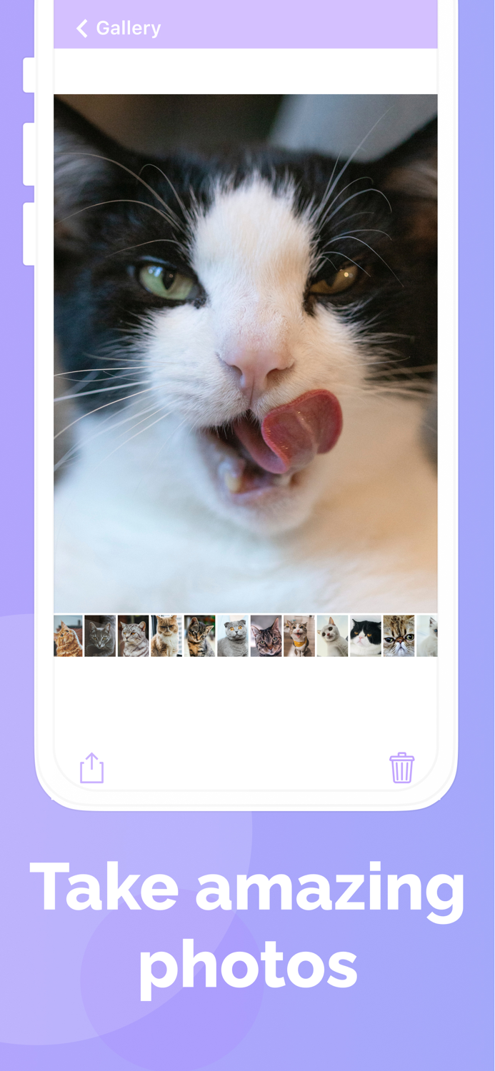 Cats Cam selfie of your pet