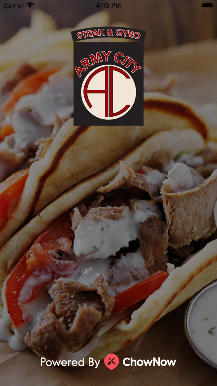 Army City Steak and Gyro