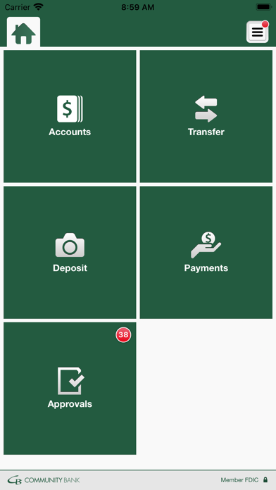 Community Bank Mankato Biz Screenshot