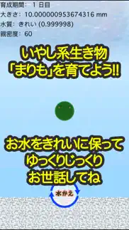 marimo - together everywhere problems & solutions and troubleshooting guide - 3