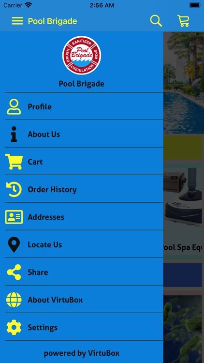 Pool Brigade International
