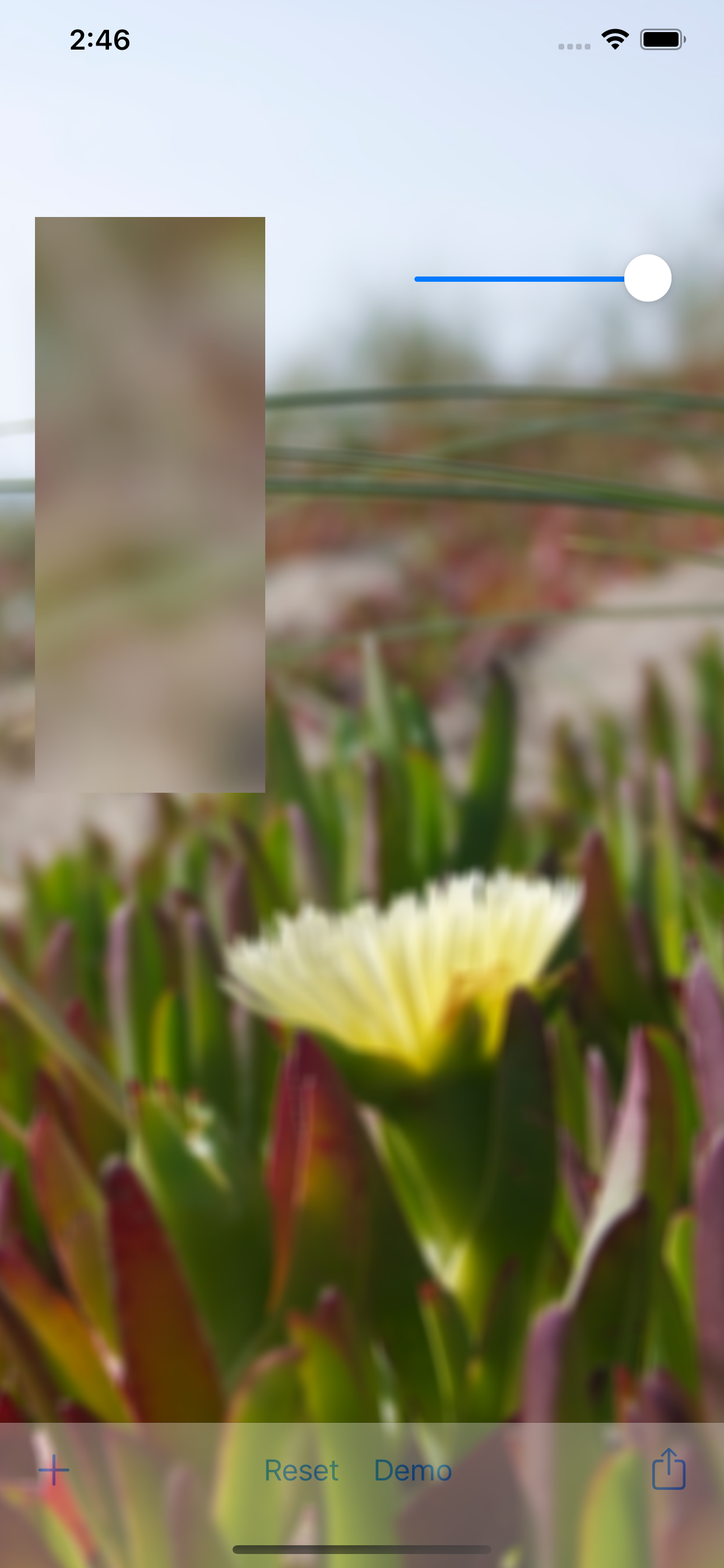 Blur Me: Image Blurring