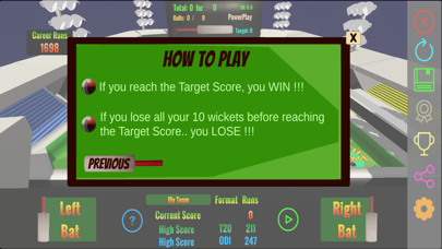 PinBall Cricket Screenshot