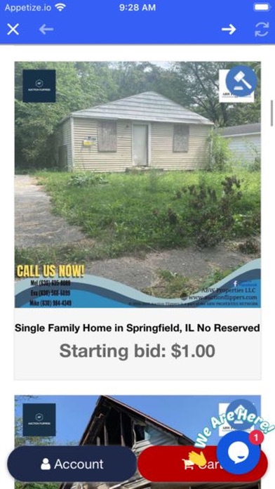Auction Flippers, LLC Screenshot