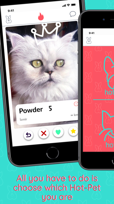 Hot-Pet Screenshot