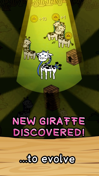 Giraffe Evolution