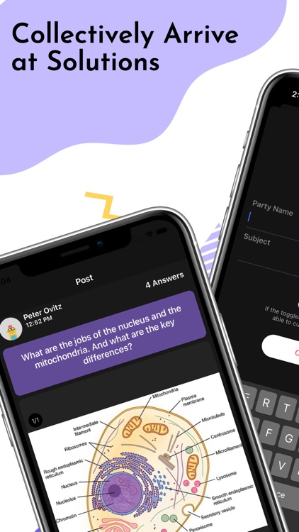 Particle - Study Group