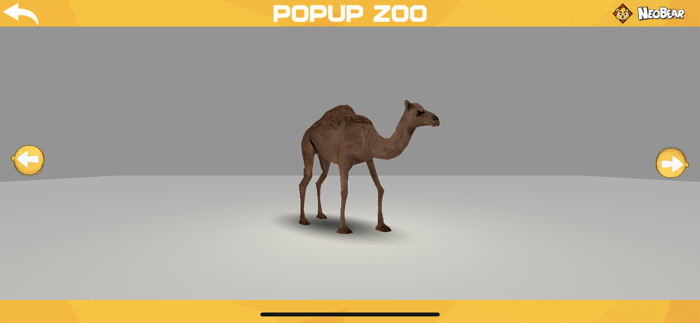 Popup Zoo