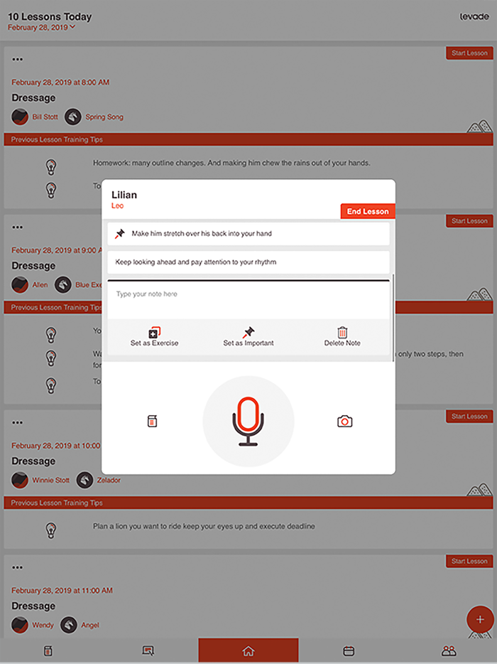 Levade - Equestrian Training