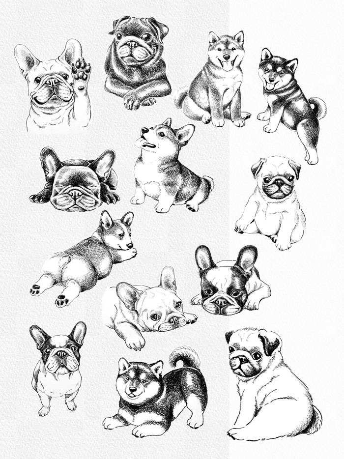 Dogs Drawing
