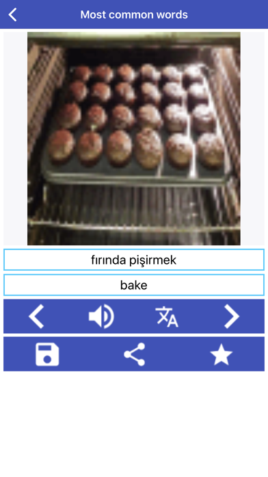 Turkish Language Learning Screenshot