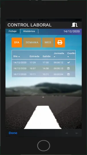 Captura de pantalla de AEOL Control Horario Laboral en iPhone 4