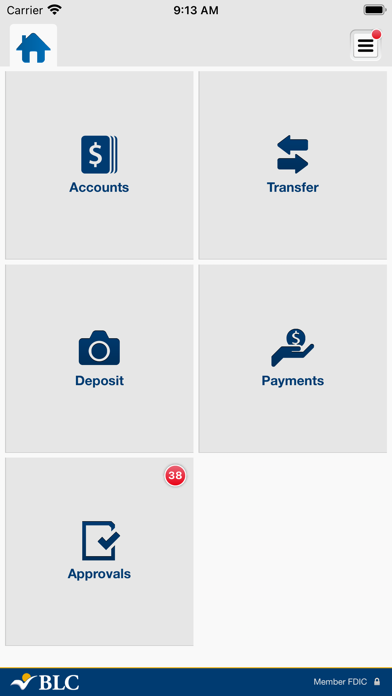 BLC Community Bank Business Screenshot