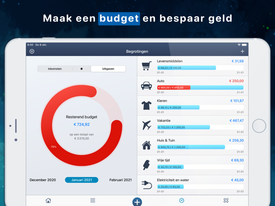 MoneyStats budget & uitgaven iPad app afbeelding 3