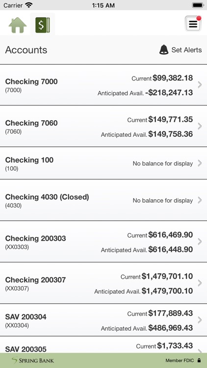 Spring Bank Business screenshot-3