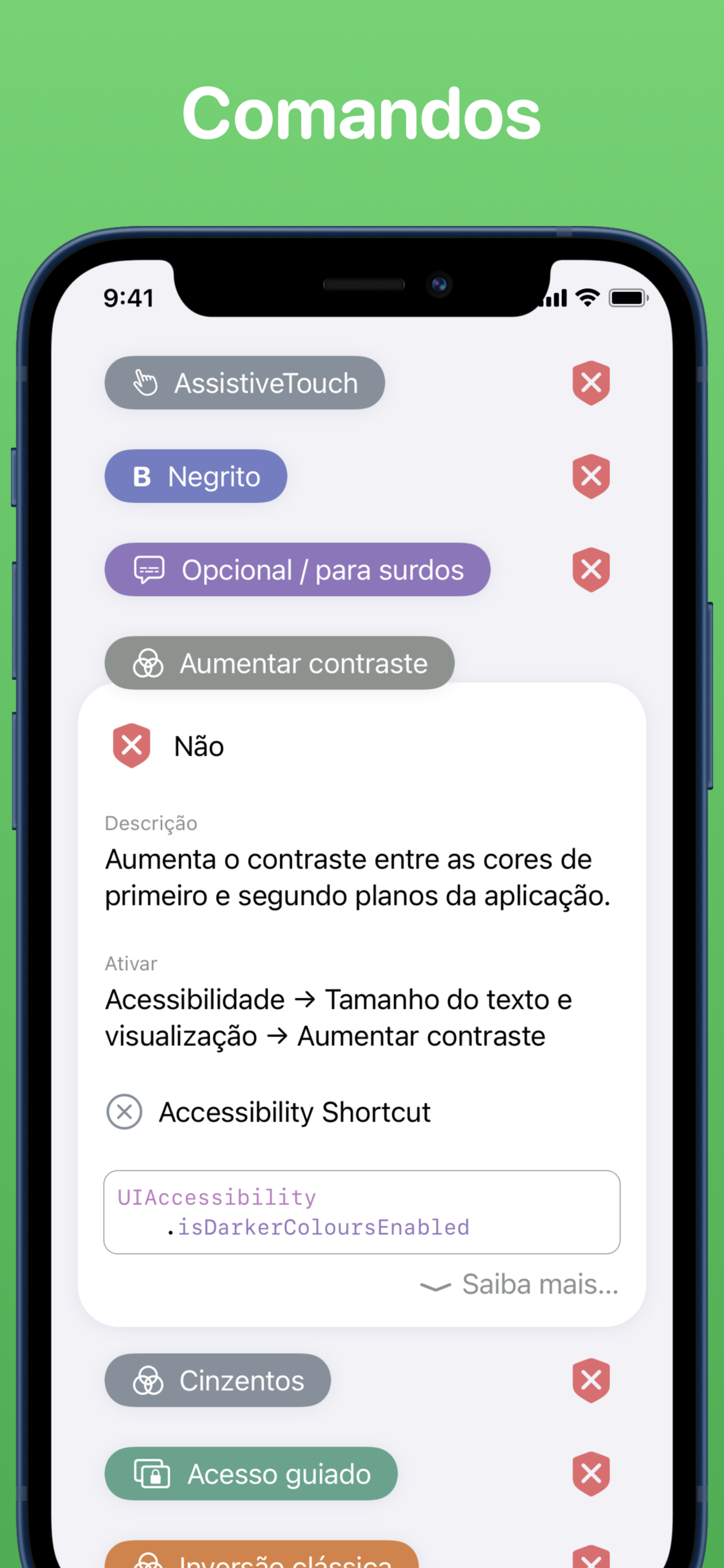 Inspetor de acessibilidade