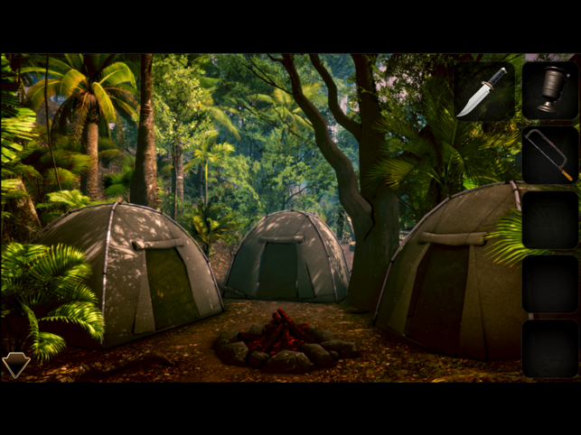 Mystery Of Camp Enigma II Screenshot