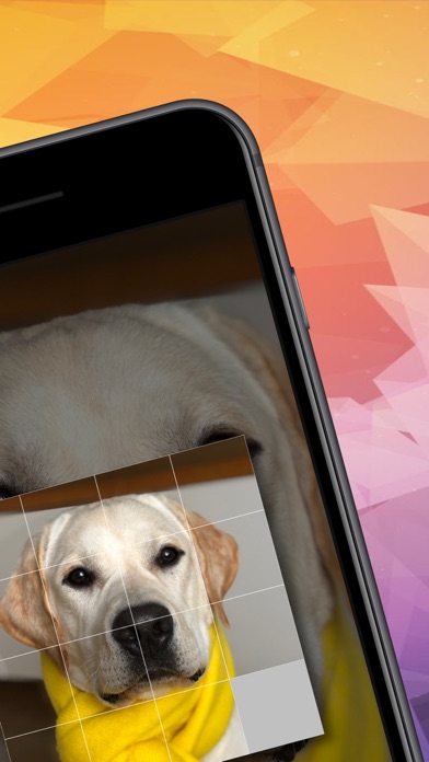 Screenshot #3 pour Pieces Game