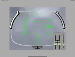 Game screenshot HUD RAW ILS hack