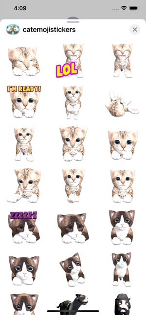 Best Black cat stickers emoji on the App Store
