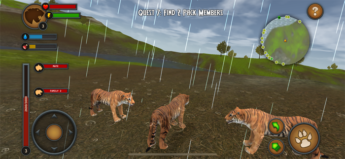 Tigers of the Forest