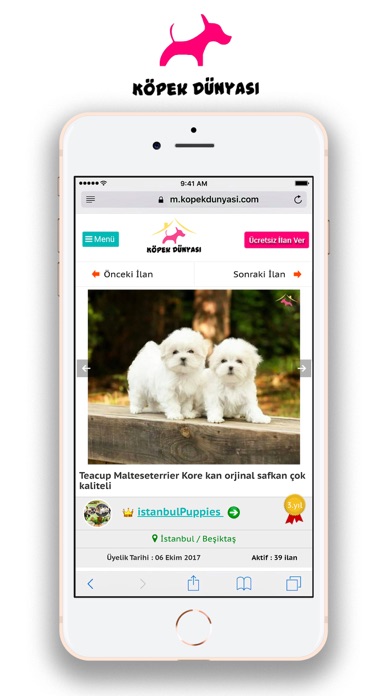 Köpek Dünyası Köpek İlanları Screenshot