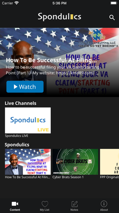 Spondulics Screenshot