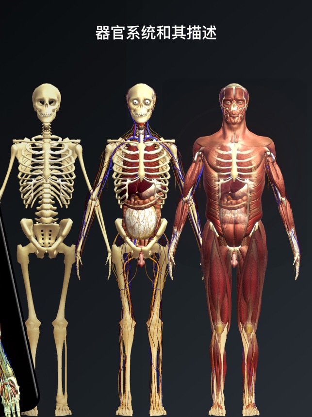 App Store 上的“发现人体3D： 三维立体解剖图谱”