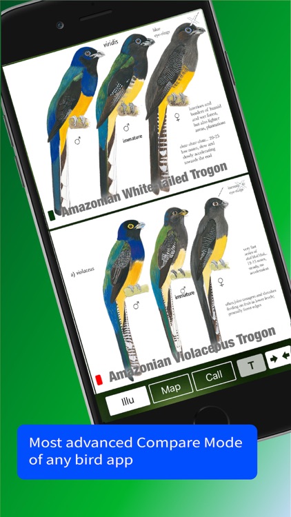 All Birds Trinidad and Tobago screenshot-6