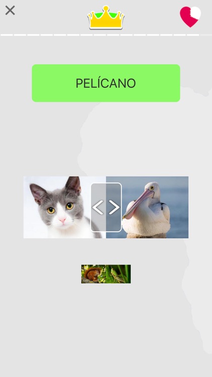 Learn Spanish Words Beginners screenshot-6