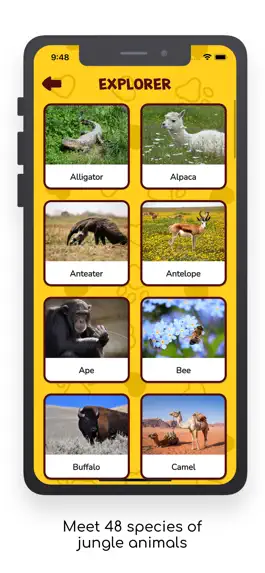 Game screenshot Bingoo Jungle Sounds apk