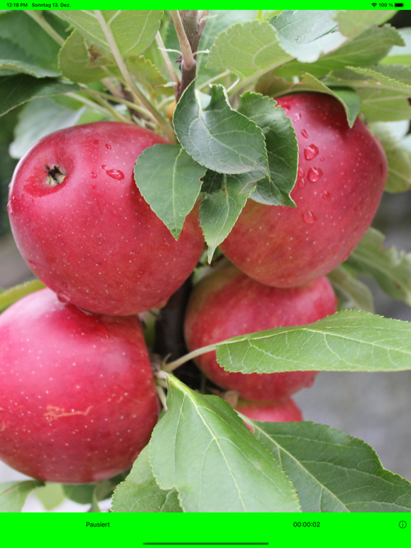 Screenshot #6 pour PiPu