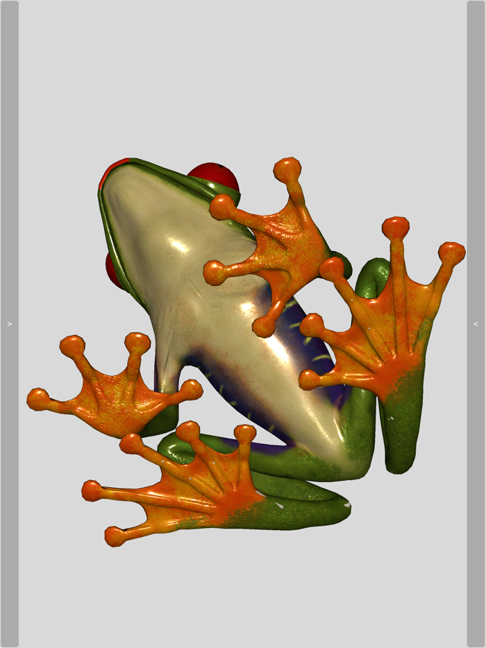 3D Frog Skeleton
