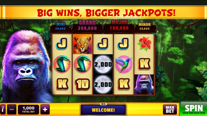 Good Fortune Slots Casino Game Screenshot