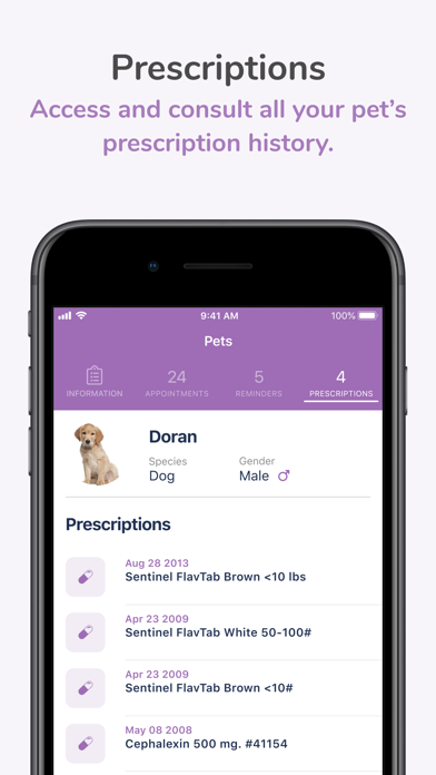Animal Hospital at Tatum Ranch Screenshot