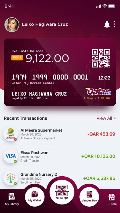 Qatar Pay - lite Screenshot