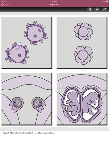 Neonatal-Perinatal Med. Reviewのおすすめ画像6