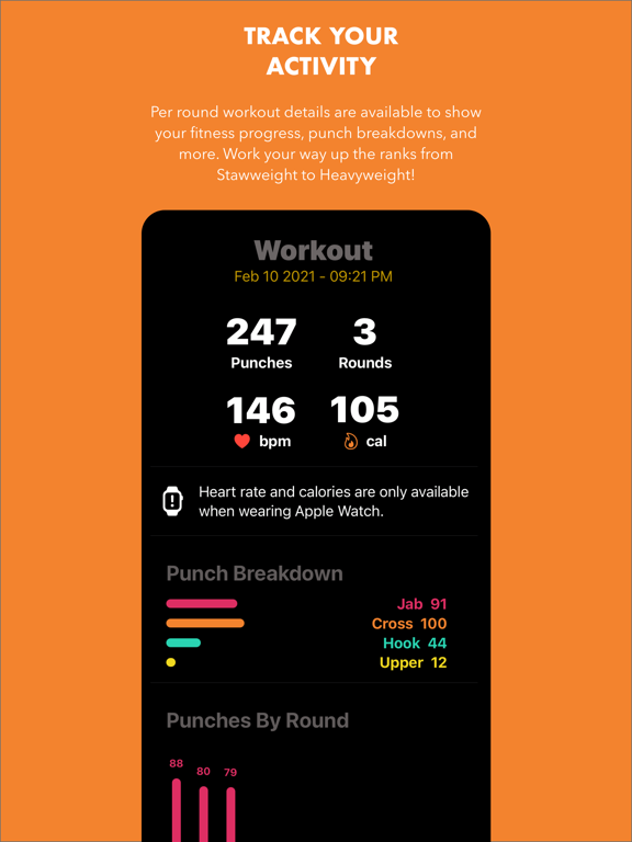Screenshot #5 pour PunchIt Workout