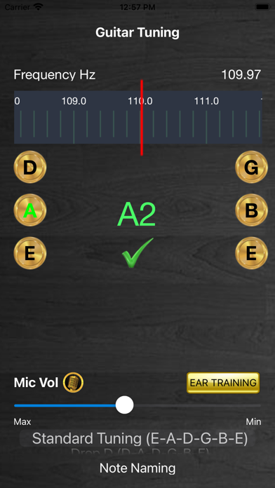 Screenshot #2 pour Guitar Tuning Tuner