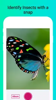 insect identifier - scan bugs problems & solutions and troubleshooting guide - 4